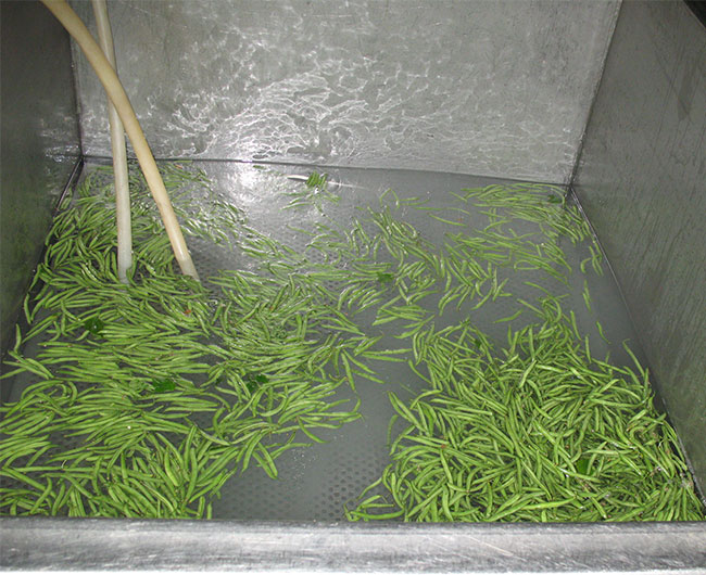 臭氧水消毒設(shè)備