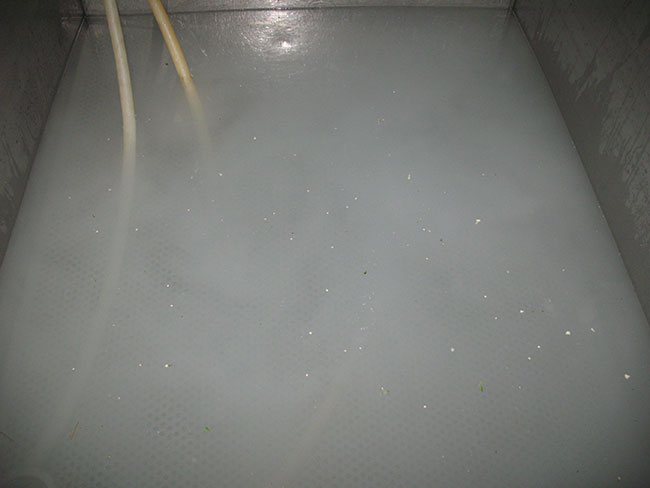 高濃度臭氧水
