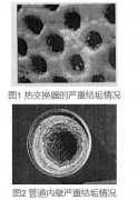 臭氧發(fā)生器可以抑制循環(huán)冷卻水中的軍團(tuán)菌嗎
