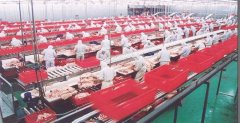 臭氧對肉制品車間消毒是如何進行的？