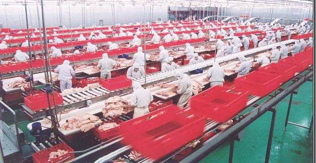 臭氧對肉制品車間消毒是如何進行的？
